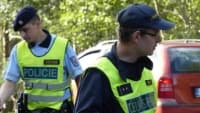 policieDva New